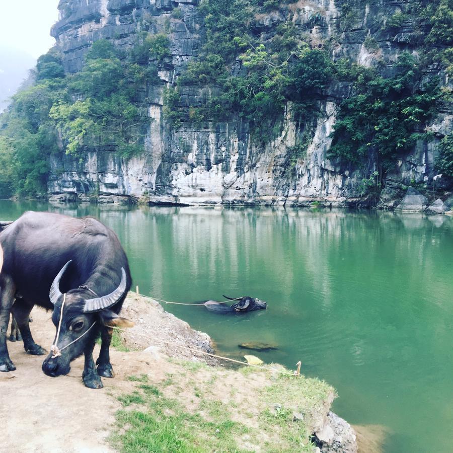 Mai'S Homestay Trang An Ninh Binh Buitenkant foto