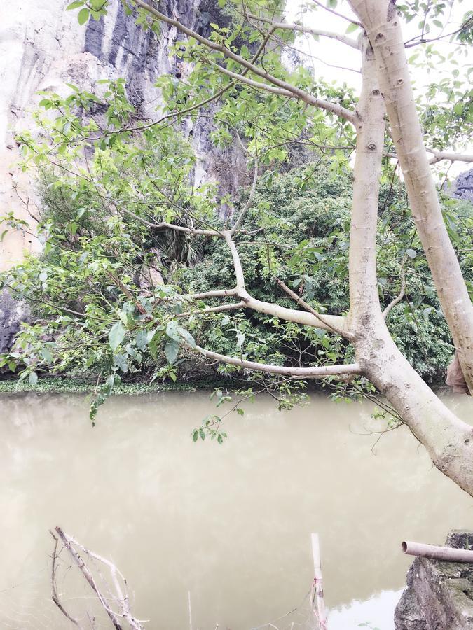 Mai'S Homestay Trang An Ninh Binh Buitenkant foto