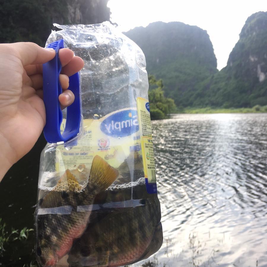 Mai'S Homestay Trang An Ninh Binh Buitenkant foto