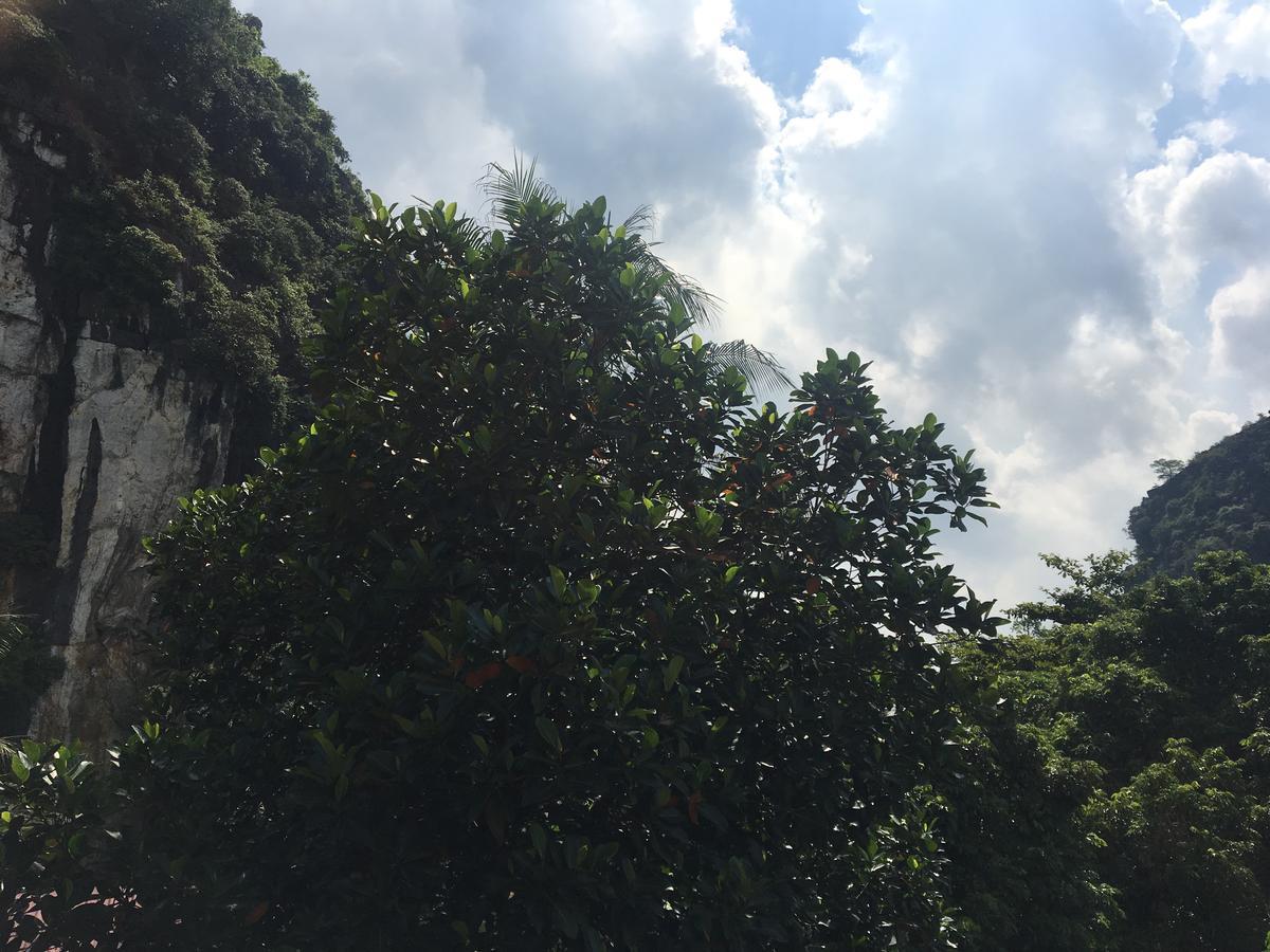 Mai'S Homestay Trang An Ninh Binh Buitenkant foto