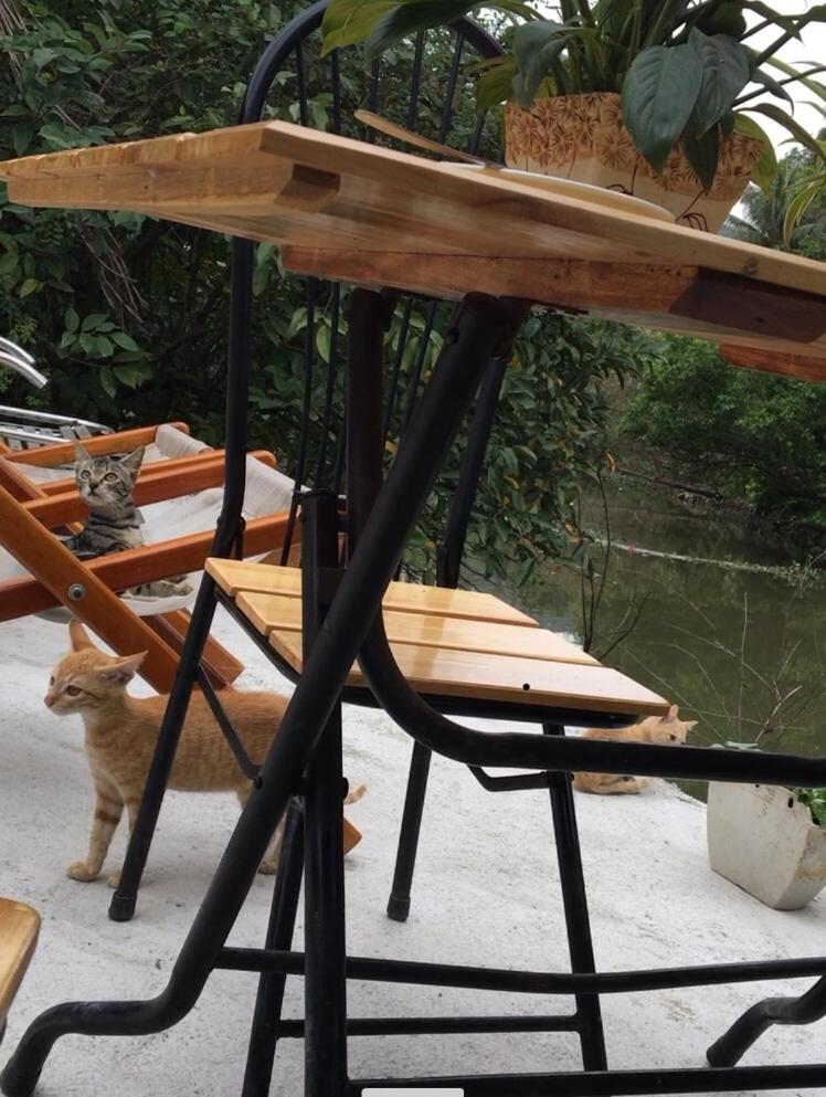 Mai'S Homestay Trang An Ninh Binh Buitenkant foto