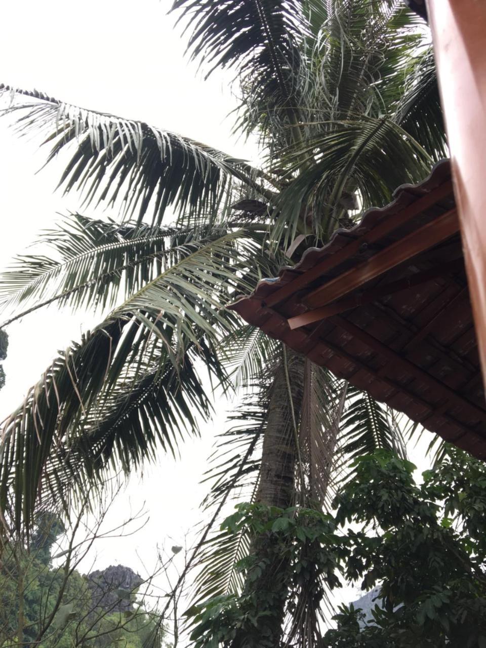 Mai'S Homestay Trang An Ninh Binh Buitenkant foto